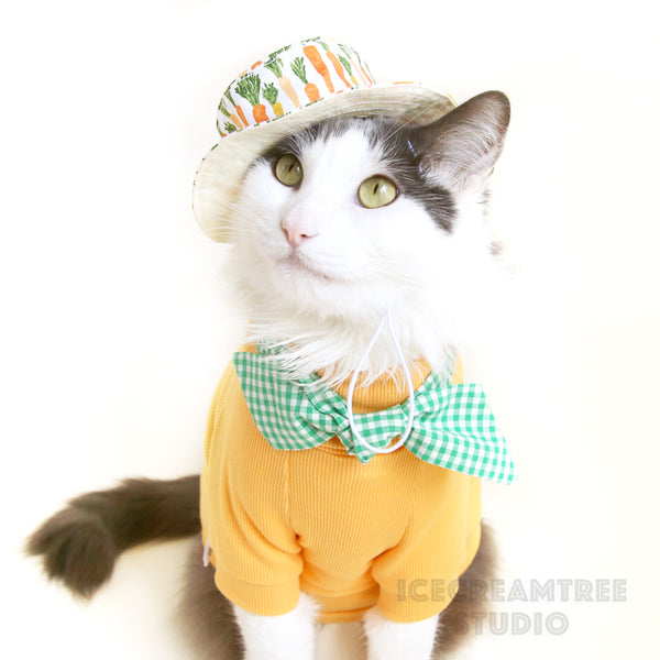 Spring Hunter Outfit - Pet Clothing