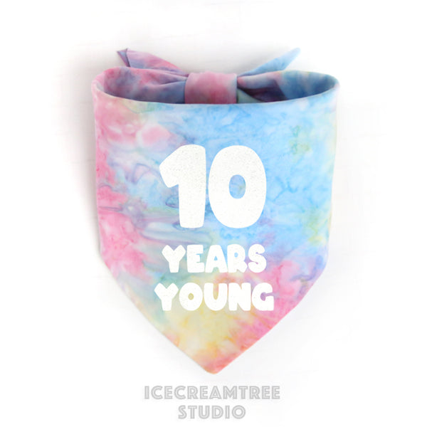 Custom Tie Dye Birthday Bandana - Tie on Classic Pet Bandana Scarf