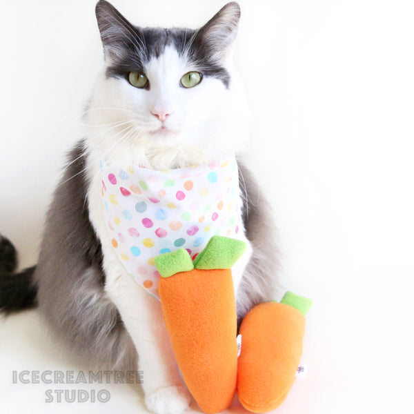 Carrot Catnip Kicker - Large Cat Toy