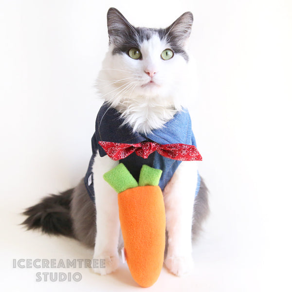 Carrot Catnip Kicker - Large Cat Toy