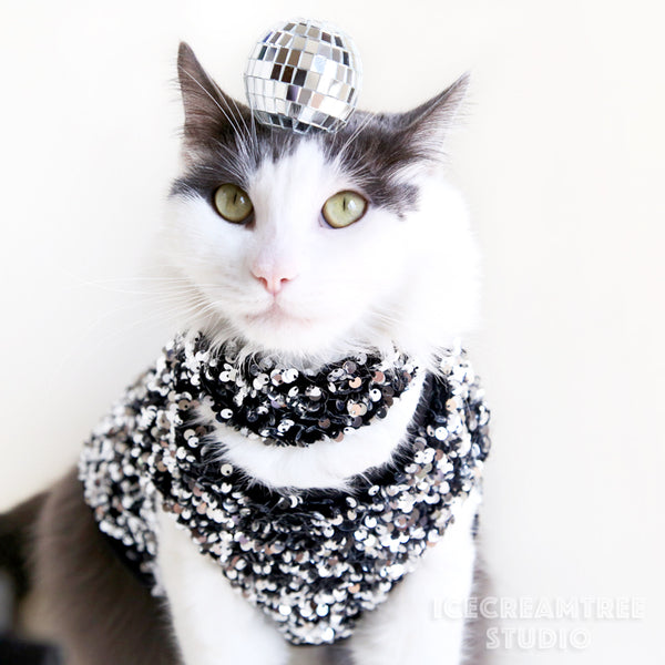 Disco Ball Headband - Pet Photo Prop
