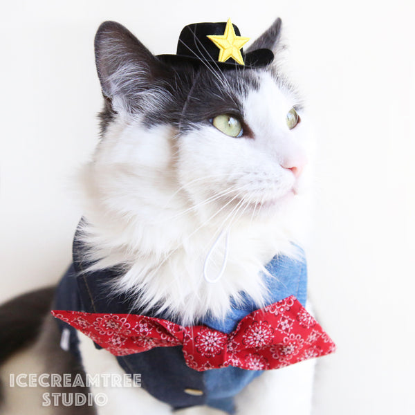 Cowboy Denim Vest Look Outfit Set - Pet Clothing