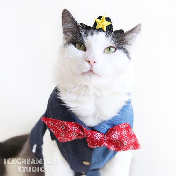 Cowboy Denim Vest Look Outfit Set - Pet Clothing