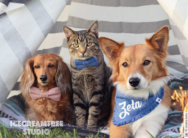 Rose Pink Gold Sparkle Linen Bow Tie - Pet Bow Tie