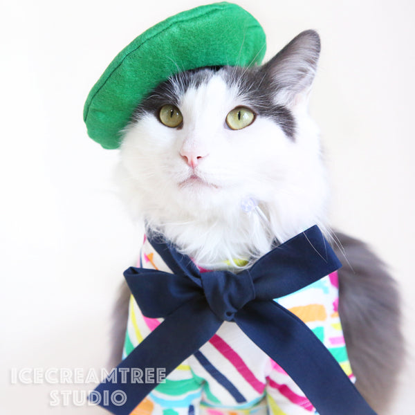 Pop Artist Look Outfit Set - Pet Clothing