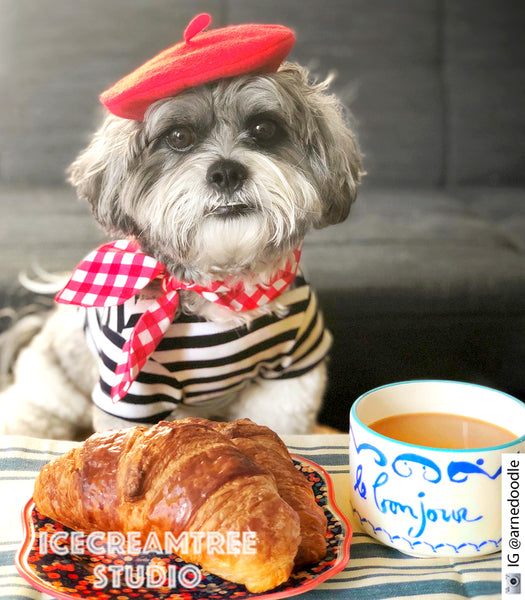 Red Beret Hat - Pet Petite Hat