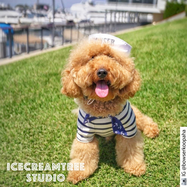 Sailor Look Outfit Set - Pet Clothing