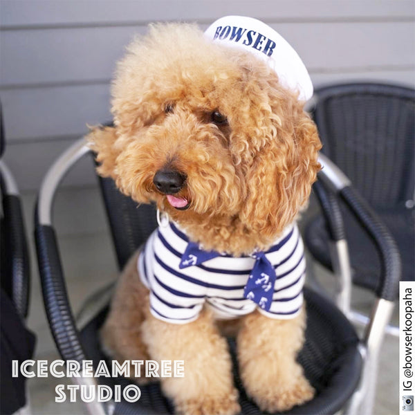 Custom Sailor Hat - Pet Petite Hat