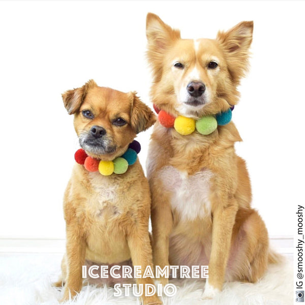 Blue Yellow PomPom Necklace - Elastic Pet Collar