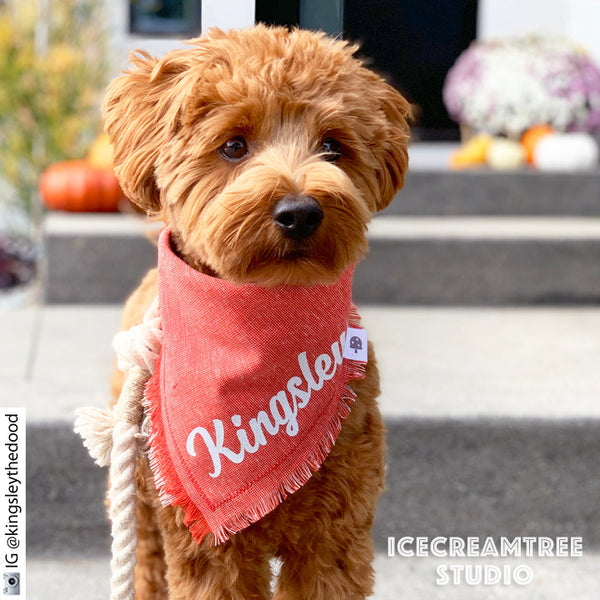 Carrots Bandana - Tie on Classic Pet Bandana Scarf