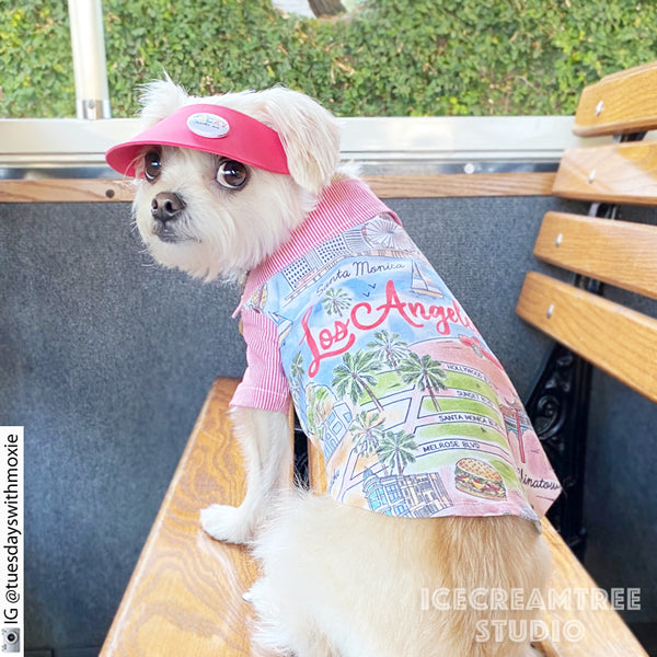 LA Vacay Look Outfit Set - Pet Clothing