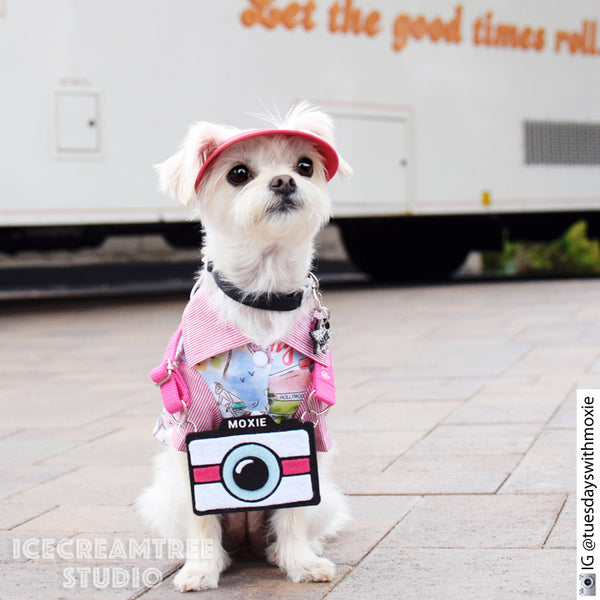 LA Vacay Look Outfit Set - Pet Clothing