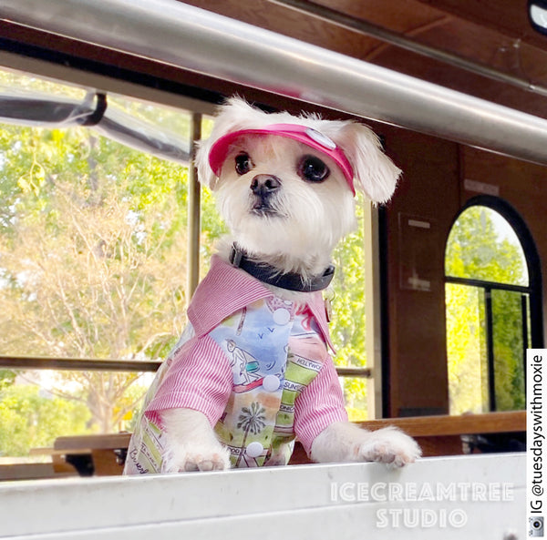 Red Visor Hat - Pet Petite Hat