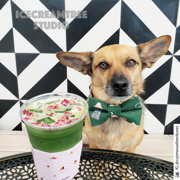 Forest Green Around the World Bow Tie - Pet Bow Tie