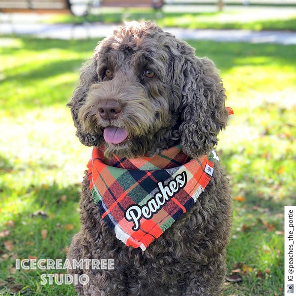 Adventure Orange Plaid Bandana - Tie on Classic Flannel Pet Bandana Scarf