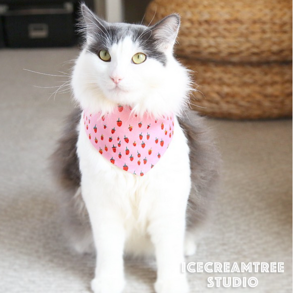 Rainbow Popsicle Bandana - Tie on Modern Pet Bandana Scarf