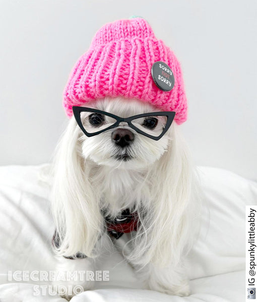 Neon Pink Beanie - Pet Petite Hat