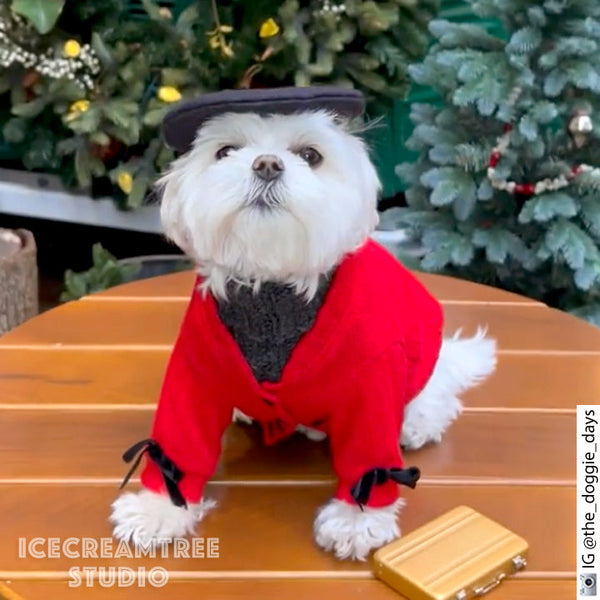 Puffy Red Daisy Look Outfit - Pet Clothing