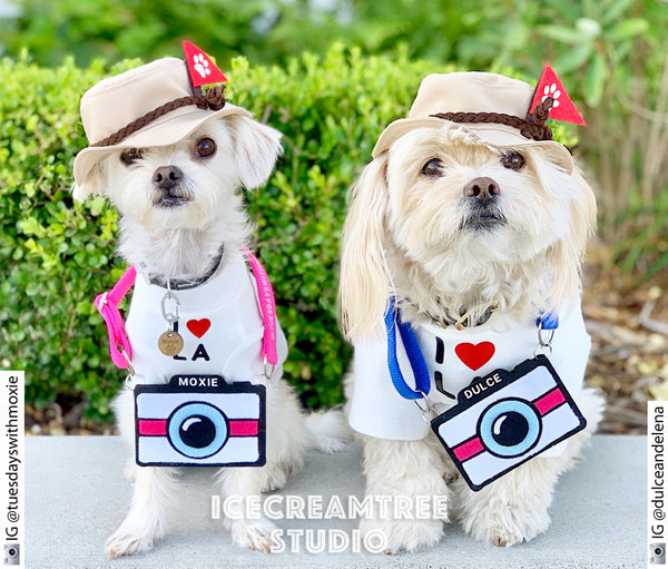 Pink Camera Necklace - Pet Photo Accessories