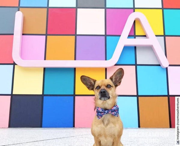 Red Green Christmas Stripe Bow Tie - Pet Bow Tie