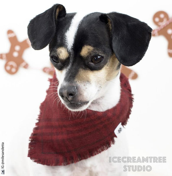 Red White Blue Plaid Bandana - Tie on Classic Flannel Pet Bandana Scarf
