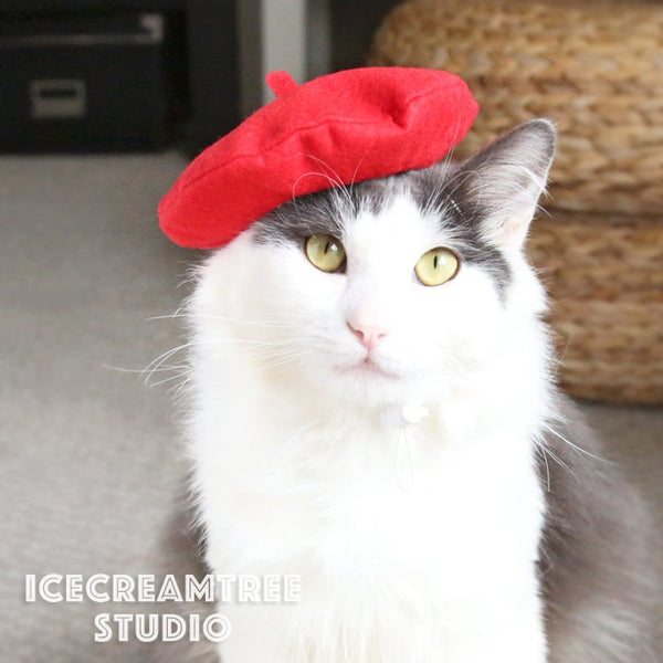 Red Beret Hat - Pet Petite Hat