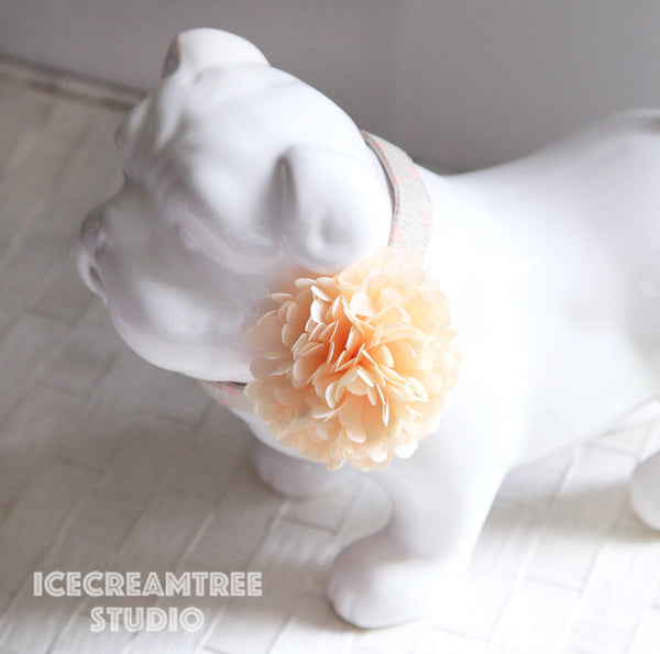 PomPom French Vanilla Bloom Collar Slide On - Small Flower Collar Accessory