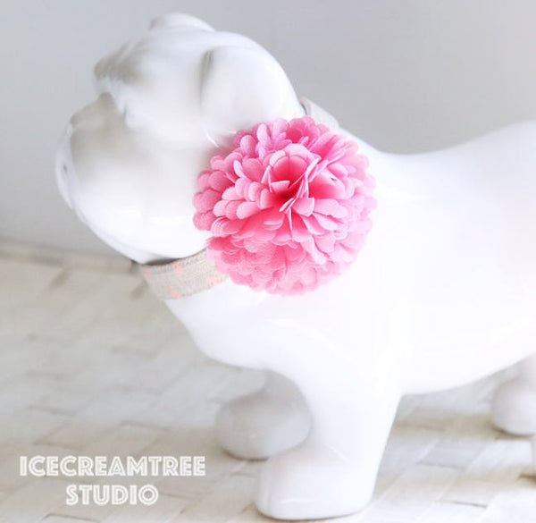 PomPom Pink Sorbet Bloom Collar Slide On - Small Flower Collar Accessory