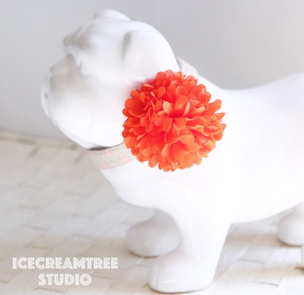 PomPom Orange Bloom Collar Slide On - Small Flower Collar Accessory