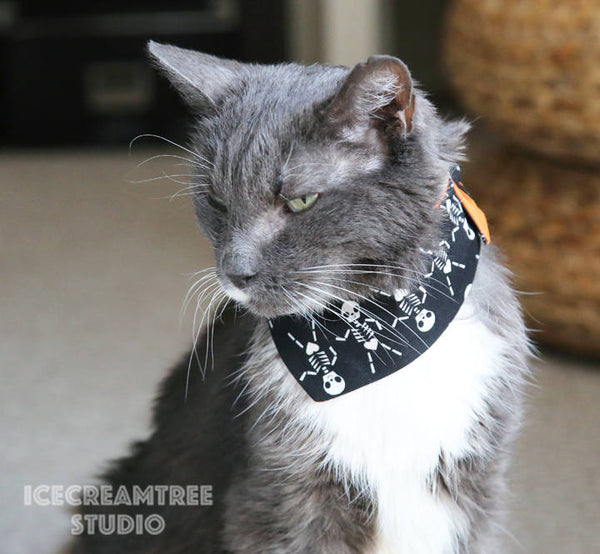 Black Dancing Skeleton - Tie on Modern Pet Bandana Scarf