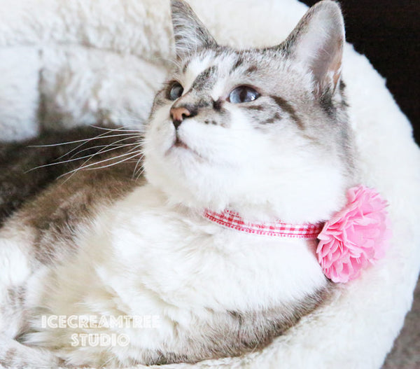 PomPom Aqua Mint Bloom Collar Slide On - Small Flower Collar Accessory