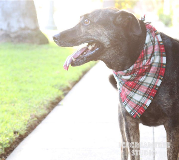 Dark Moss Green Houndstooth Bandana - Tie on Classic Flannel Pet Bandana Scarf