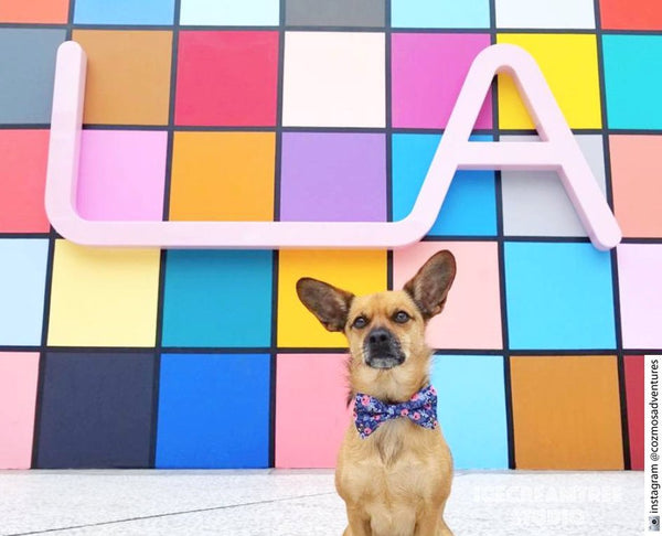 Sparkle Glitter Gold Bow Tie - Pet Bow Tie