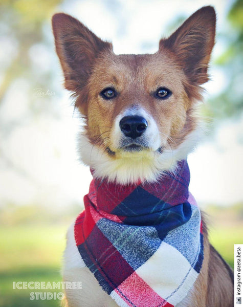 Red White Blue Plaid Bandana - Tie on Classic Flannel Pet Bandana Scarf