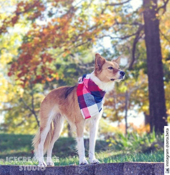 Scarlet Red Plaid Bandana - Tie on Classic Flannel Pet Bandana Scarf