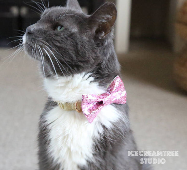 Pastel Pink Gingham Check Bow - Collar Slide on Bow