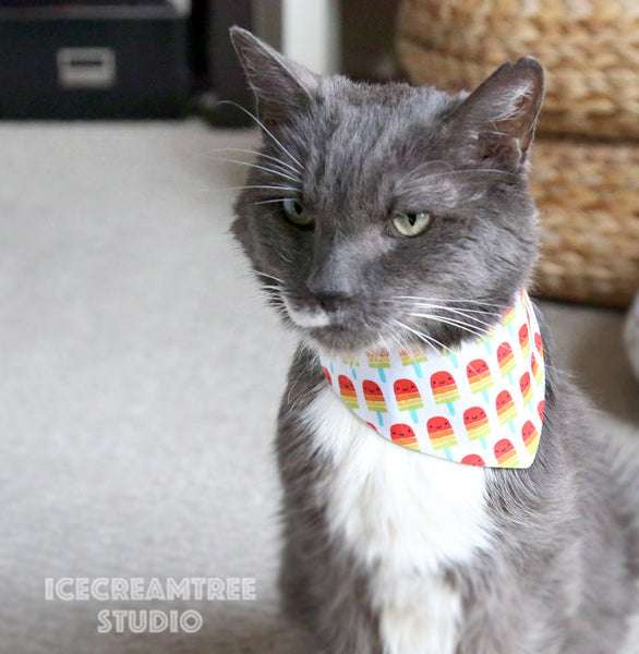 Black Orange Pumpkin Bandana (Glow in dark) - Tie on Modern Pet Bandana Scarf