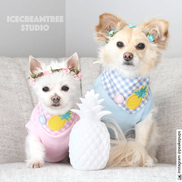 Candy Pink Gingham Check Pineapple Bandana - Tie on Modern Pet Bandana Scarf
