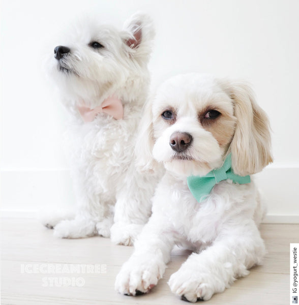 Sparkle Glitter Green Bow Tie - Pet Bow Tie