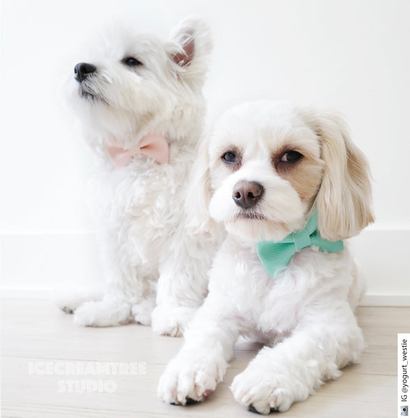 Faux Leather Pink Bow Tie - Pet Bow Tie