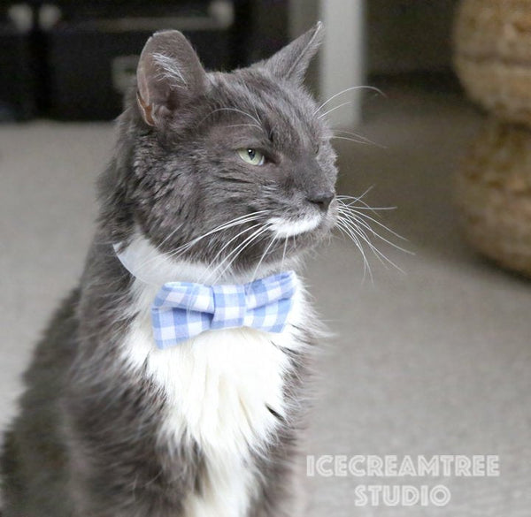 Tie Dye Bow - Collar Slide on Bow