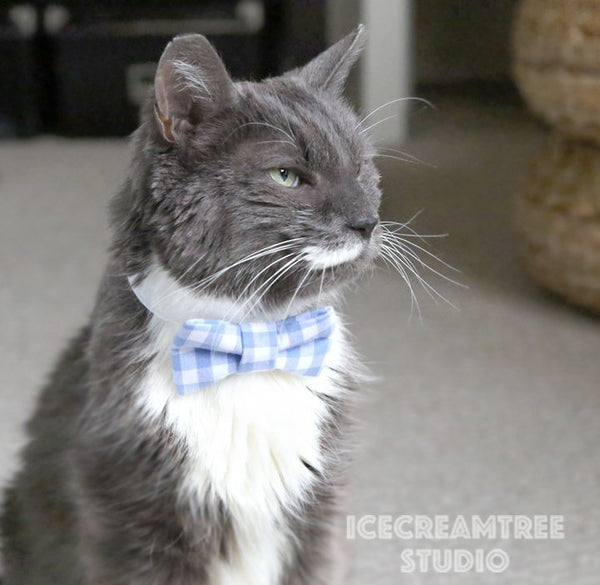 Periwinkle Gingham Check Bow - Collar Slide on Bow
