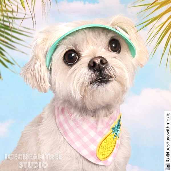 Pink Visor Hat - Pet Petite Hat