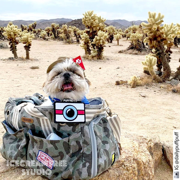 Explorer Tourist Bucket Hat - Pet Petite Hat