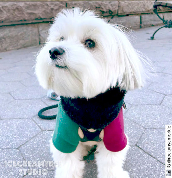 Muted Color Block Fleece Sweater and Beanie Urban Look Outfit - Pet Clothing