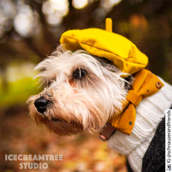 Mustard Yellow Beret Hat - Pet Petite Hat