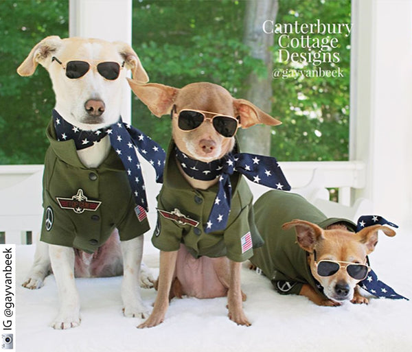 Top Gun Look Outfit Set - Pet Clothing