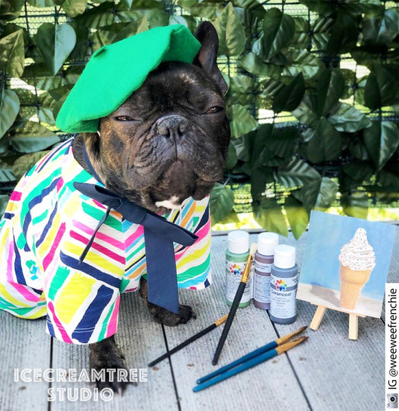 Pop Artist Look Outfit Set - Pet Clothing