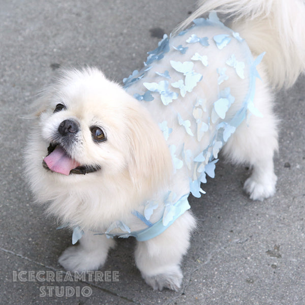 Baby Blue 3D Butterfly Mesh Top - Pet Clothing