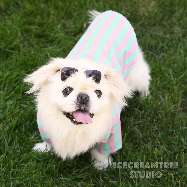 Ken Inspired Look Outfit Set - Pet Clothing – Icecreamtree Studio
